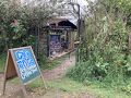 コロンビアのコーヒーの文化的景観