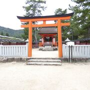 きれいな神社