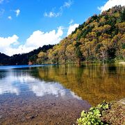 神秘的な紅葉の青い池