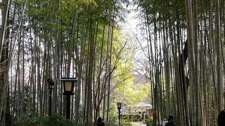 京都っぽい風情