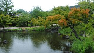 雨降ってましたが綺麗な公園でした。