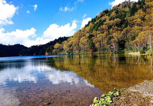 神秘的な紅葉の青い池