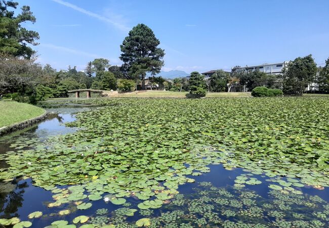 津山藩２代目の作った廻遊式庭園。入場無料も嬉しい