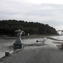 道にも水が来ています。