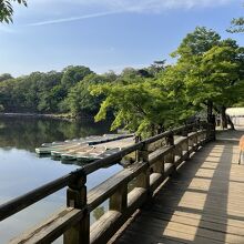 鹿 が 付いてきてる