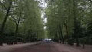 ブリュッセル公園