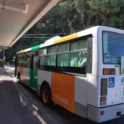 高知市内を中心に走っているバス