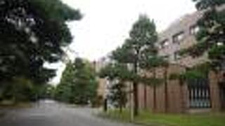 松がもりもり。