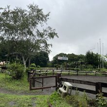 施設内の馬場