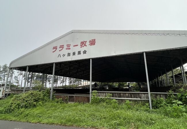 ララミー牧場 クチコミ・アクセス・営業時間｜小淵沢【フォー