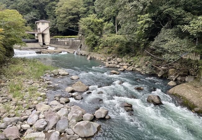 場所によってずいぶん違うもんですね