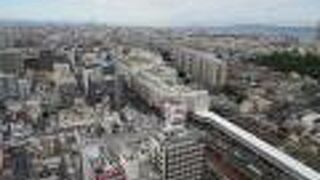 堺の街が一望できる。