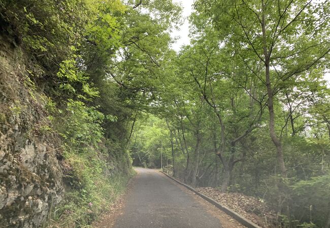 牡蠣筏が浮かぶ瀬戸内の海と日生諸島の景観は素晴らしい