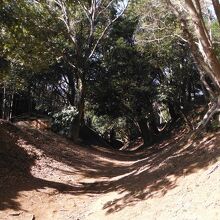 小峯御鐘ノ台大堀切(東堀)