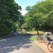 緑の深い公園