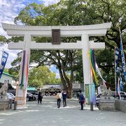 熊本城がきれいに見えます