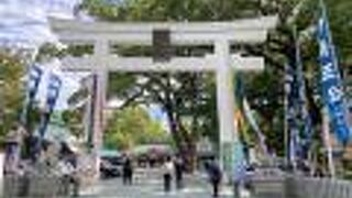 熊本城がきれいに見えます