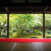 思いのほか広い庭園