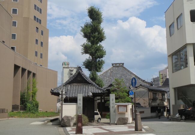 曹洞宗のお寺