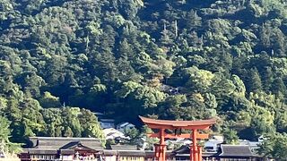 大鳥居と厳島神社が海から見える