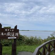 ハクチョウの飛来地として有名