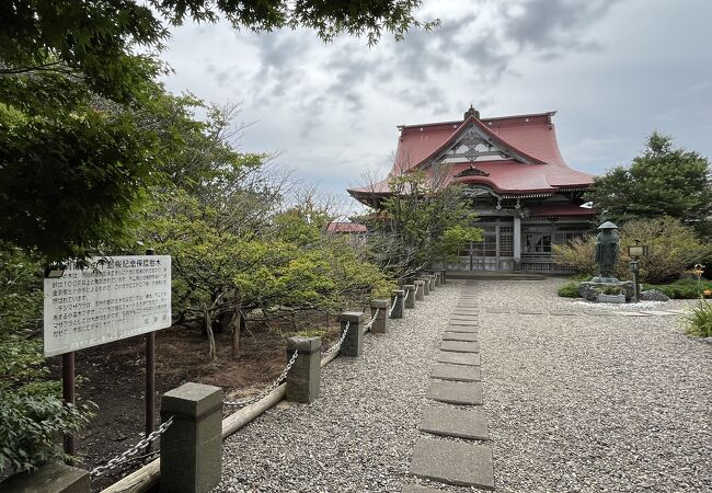 桜の名所