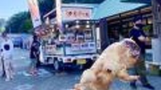 「道の駅たじま」休日しか購入出来ない、会津地鶏の焼き鳥が抜群に美味しい！