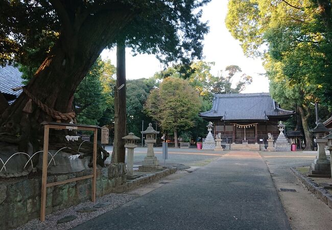 鳥居から社殿までの長さが印象に残りました