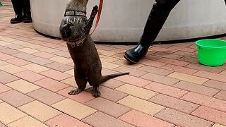 ビジュアル重視のアクアパーク