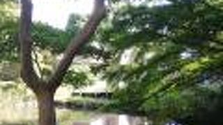 御殿山庭園　御殿山城跡