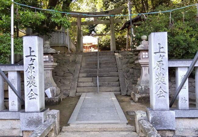 上ケ原八幡神社