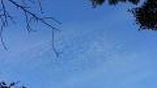 秋色の大山崎山荘美術館