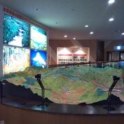 志賀高原の自然に関する展示