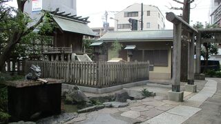 初めて存在を知った