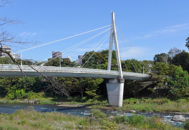 穏やかな多摩川の清流が見られます