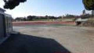 広い舞鶴公園の北寄りににあります