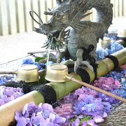 紫陽花寺として名高い、梅雨時に行きたいお寺