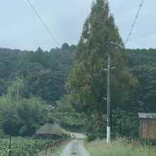 ふもとあたりは、のどかな風景が広がっています。