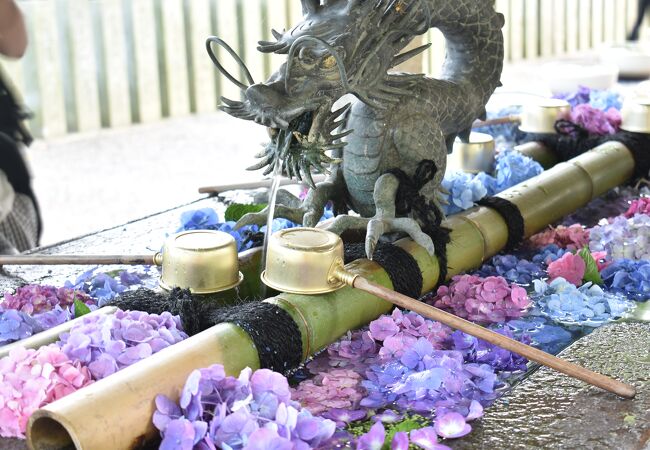 紫陽花寺として名高い、梅雨時に行きたいお寺