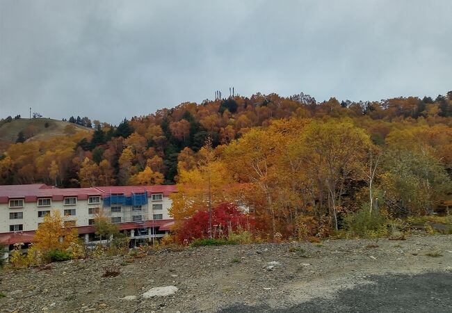 熊の湯温泉