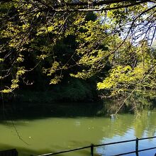 大きな池のある林の公園です。