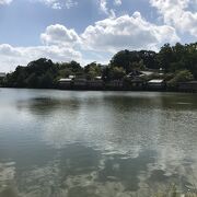 八条ケ池（京都府長岡京）：長岡天満宮にある大きな池