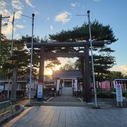 桜ヶ岡公園の中に