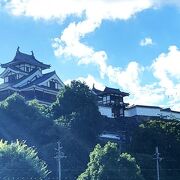 山陰本線で福知山に入ると、平野の真ん中に小高い丘に建つ福知山城が綺麗に見えます。