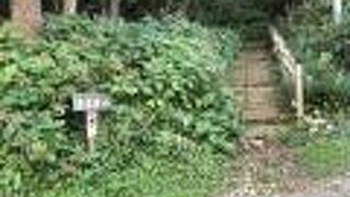 妙心寺からさらに奥