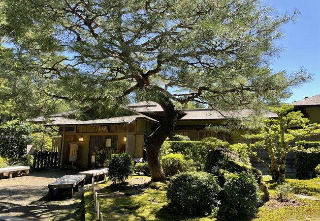 庭を見ながらお茶と和菓子