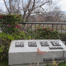 ここからの景色も京都です