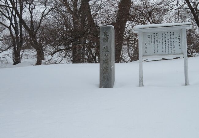 一面雪景色でした