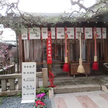 梅が綺麗でした