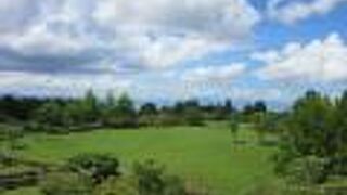 金勝山県民の森